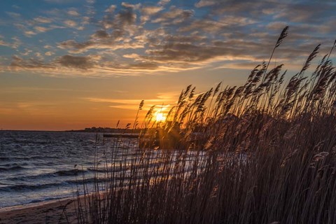 Framed Discovery Of Redemption Print