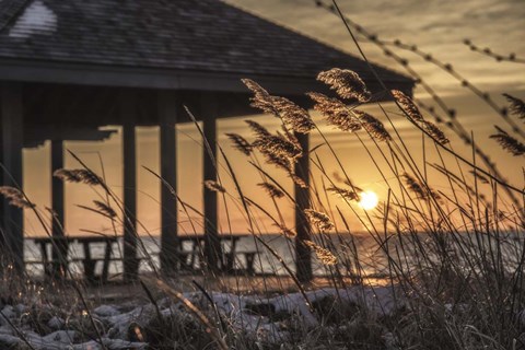 Framed Imminent Loyalty Print