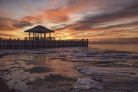 Framed Nonchalant Sign Print