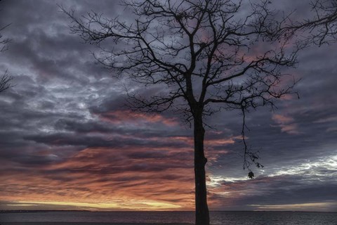 Framed Distorted Solution Print