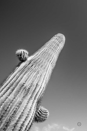 Framed King I v2 Print