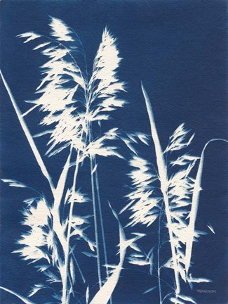 Framed Ornamental Grass VI Print