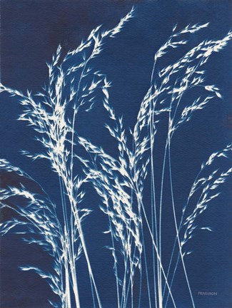 Framed Ornamental Grass V Print
