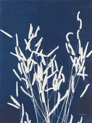 Framed Ornamental Grass IV Print