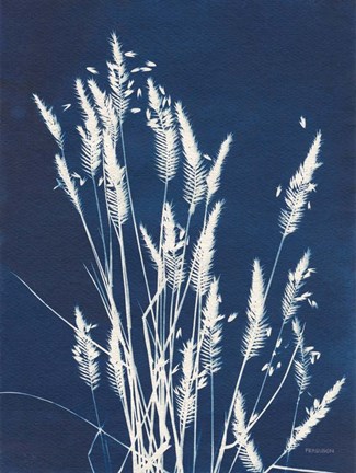Framed Ornamental Grass III Print