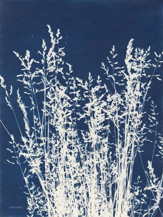 Framed Ornamental Grass I Print