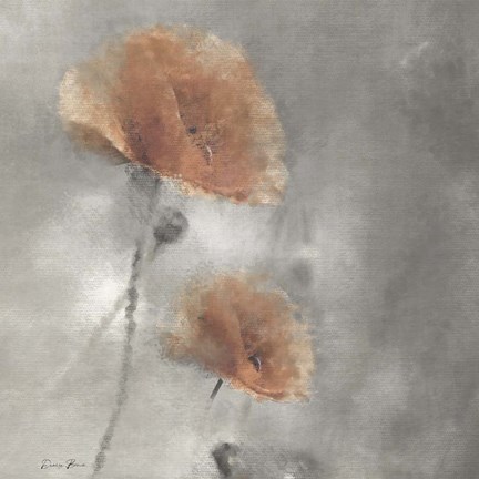 Framed Two Poppies 1 Print