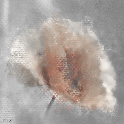 Framed Single Poppy 1 Print