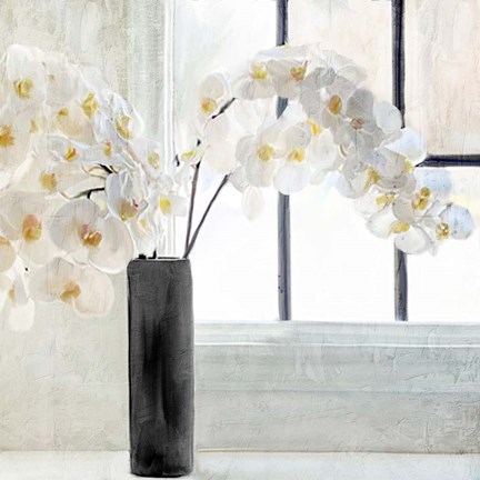 Framed Orchid Window Print