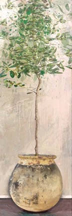 Framed Dracaena Print