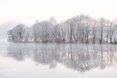 Framed Mist Lake Print