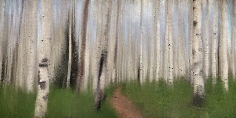 Framed Path through the Aspens Print