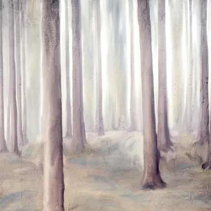 Framed Forest Dreams 2 Print