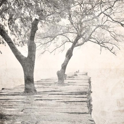 Framed Tree Pier Print