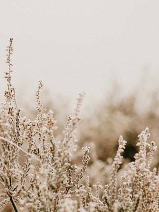 Framed Light Glow Print