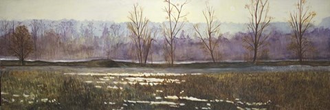 Framed Hazelmere Forest Print