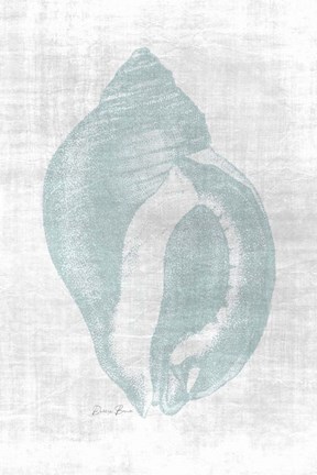 Framed Beautiful Shells 2 Print