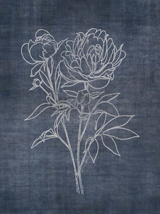 Framed White Peony on Navy 2 Print