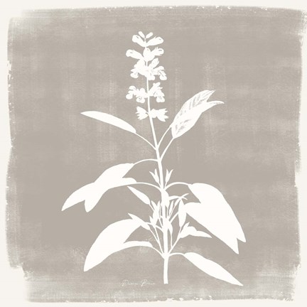 Framed Sophisticated Floral 3 Print