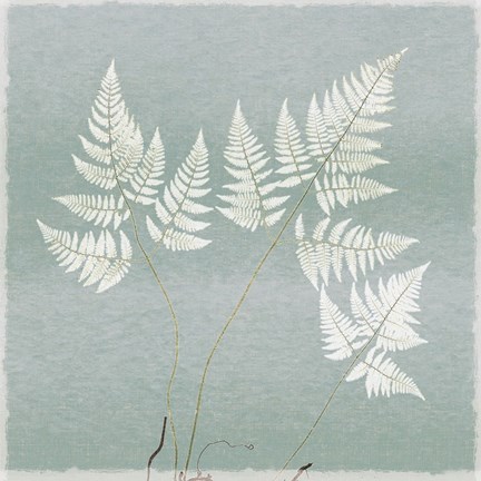 Framed Spring Eden Floral 1 Print