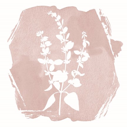 Framed Sweet Sophisticate Floral 1 Print