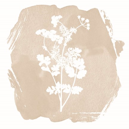 Framed Sweet Sophisticate Floral 2 Print