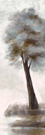 Framed Wooded Vista 2 Print