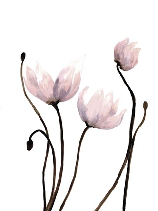 Framed Fresh Growth 2 Print