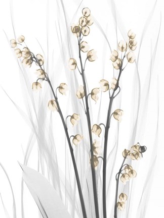 Framed Delightful Oasis 4 Print