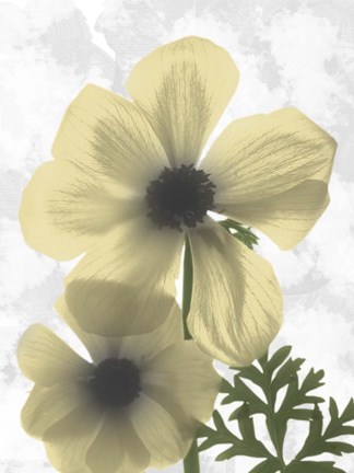 Framed Bright Magnolia 2 Print