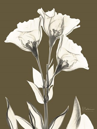 Framed Gentian Fall Print