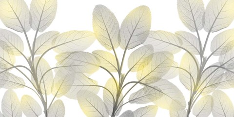 Framed Illuminated Beauty 1 Print