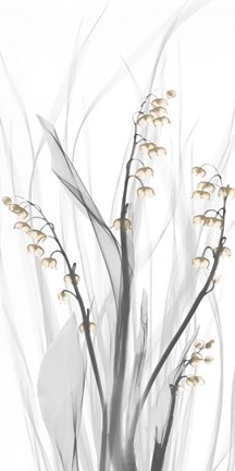 Framed Delightful Oasis 1 Print