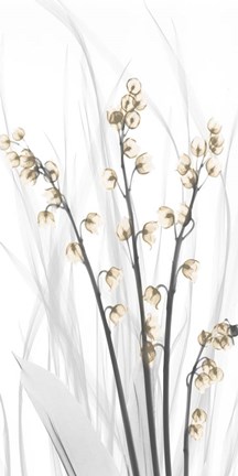 Framed Delightful Oasis 2 Print