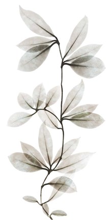 Framed Sandy Wonder 1 Print