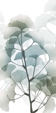 Framed Sea Breeze Ginko 1 Print