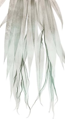 Framed Seashore Growth 2 Print