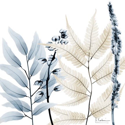 Framed Dusk And Dawn 2 Print