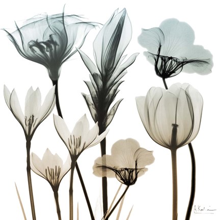 Framed Sandy Floral Cluster 1 Print