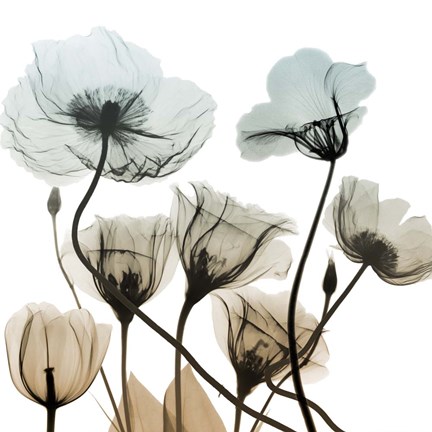 Framed Sandy Floral Cluster 2 Print