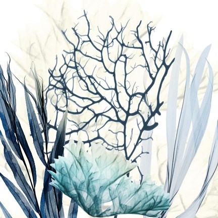 Framed Ocean Floor Life 1 Print