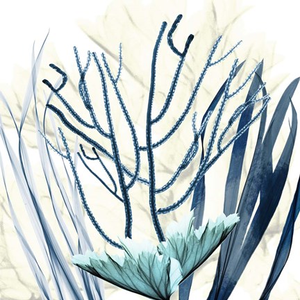 Framed Ocean Floor Life 2 Print