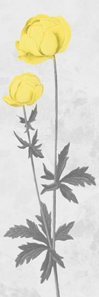 Framed Shinning Bloom Print