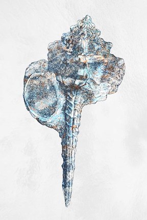 Framed Urban Sea Shell 1 Print