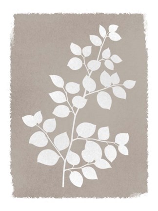 Framed Natural Silhouetted Growth 2 Print