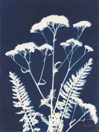 Framed Alpine Flower I Print