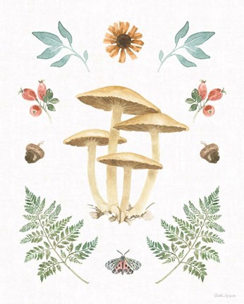 Framed Forest Finds X Print