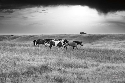 Framed Sunset Rains Print