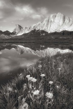 Framed Pronghorn and Dragon Head Peaks BW Print