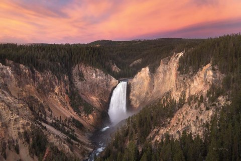 Framed Lower Falls of the Yellowstone River I Print